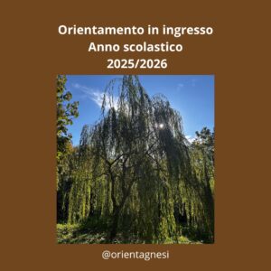 Altra immagine di albero